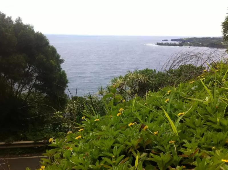 Maui (c) Alena Gavrilova